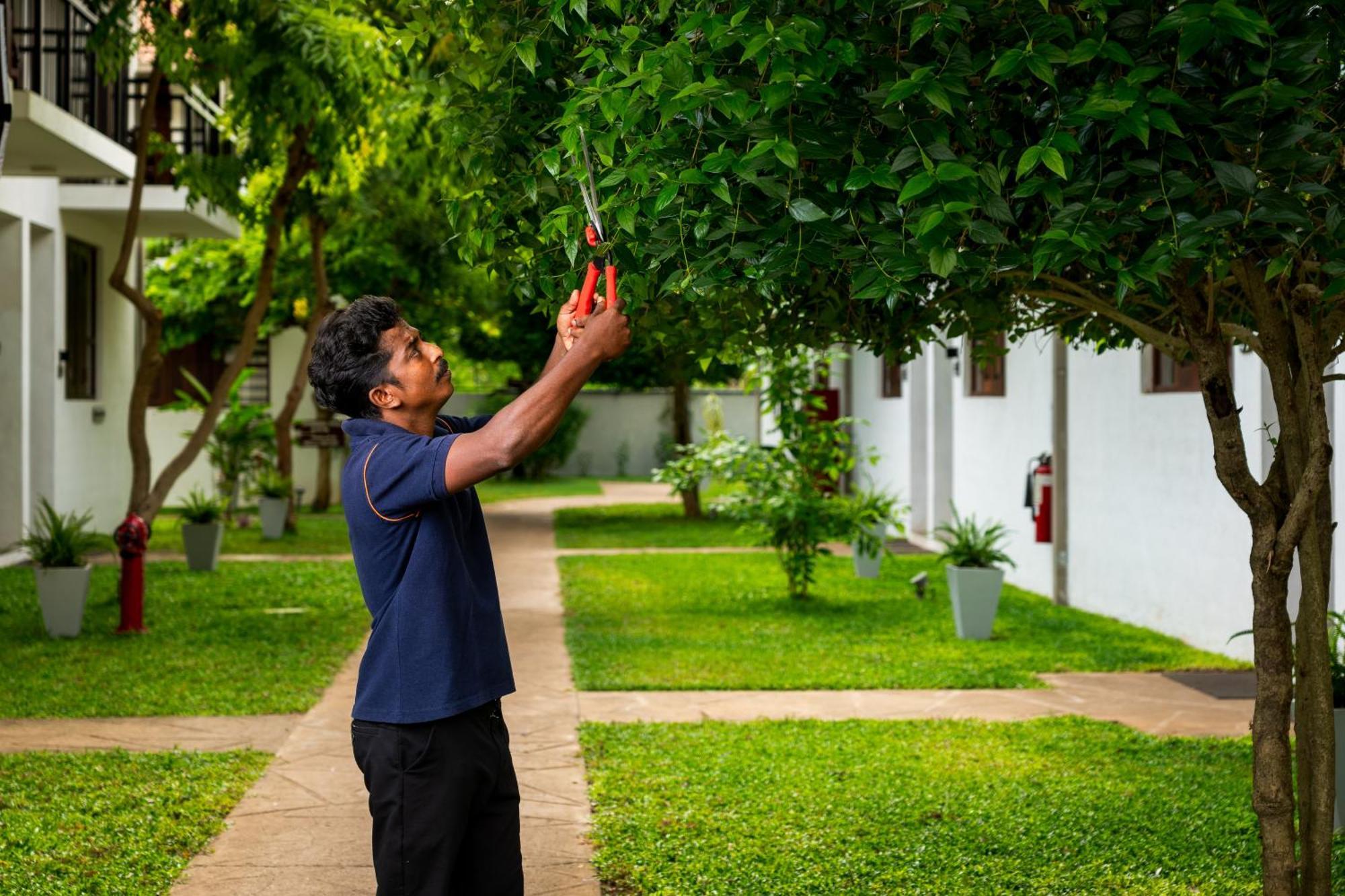 The Thinnai - All-Suites Boutique Hotel Hotel